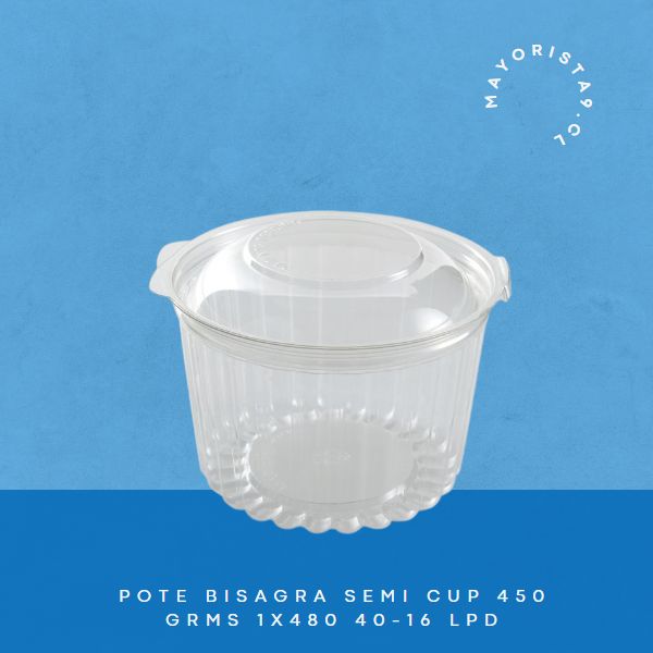 https://mayorista9.cl/wp-content/uploads/2023/01/POTE-BISAGRA-SEMI-CUP-450-GRMS-1X480-40-16-LPD.jpg